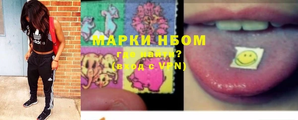 крисы Баксан