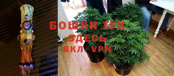 крисы Баксан