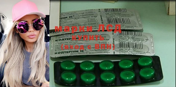 крисы Баксан