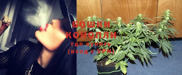 крисы Баксан