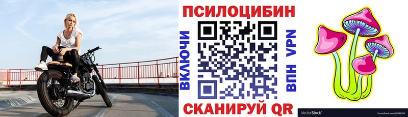 где можно купить наркотик  Королёв  Галлюциногенные грибы Psilocybine cubensis 