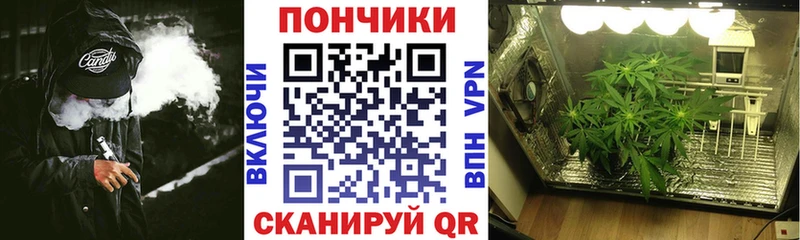 магазин продажи наркотиков  Королёв  Конопля OG Kush 